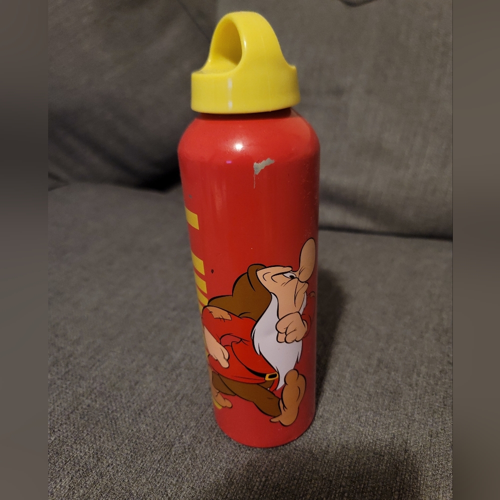 Disney Grumpy Thermos